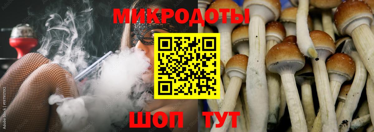 Орёл  Псилоцибиновые грибы Psilocybe  Вход с VPN 